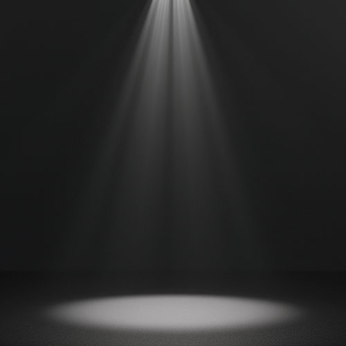 rock-your-business-mentoring-focus
